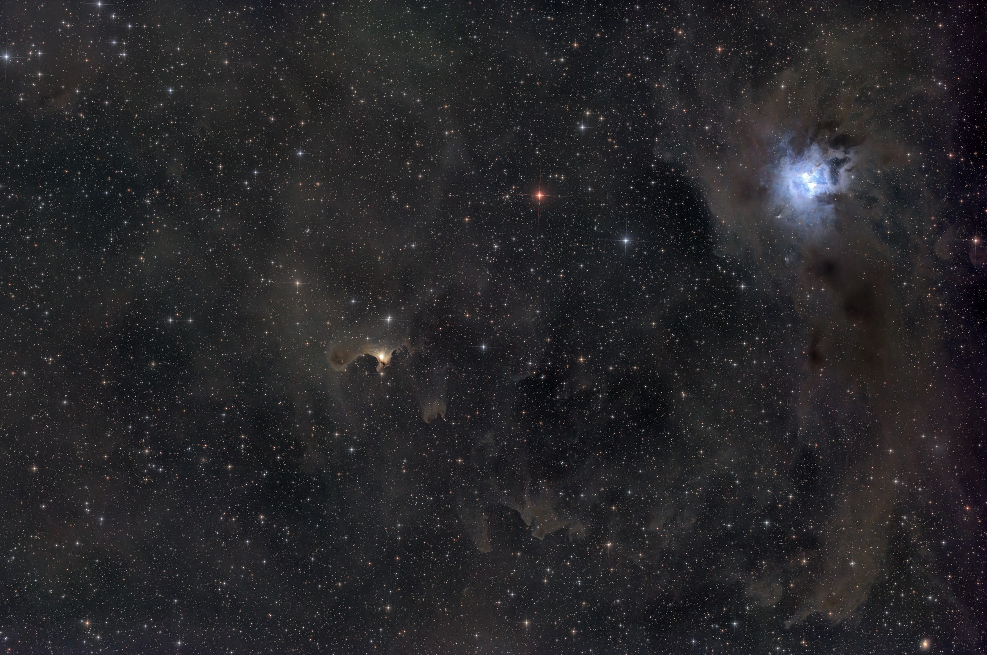 The Ghost Nebula in the center of the image was cataloged as van den Bergh (vdB 141) by Sidney van den Bergh in 1966. The embedded stars illuminate the nebula in a brownish light. The bright Iris Nebula, upper right, is excited to glow by hot star HD200775. Both reflection nebulae are in the constellation Cepheus.